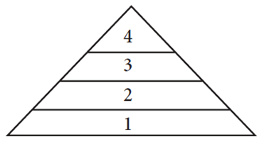 Biology 1 Warm-up Quiz 1 - Quiz